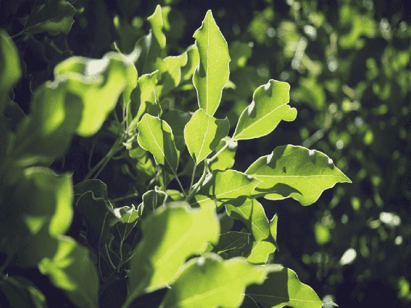 市中心医院住院费用流程(试管产检费用)